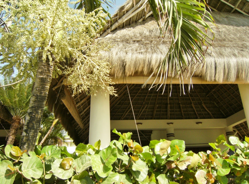 St Vincent, Canoan Island, Charlestown 2014 04 28