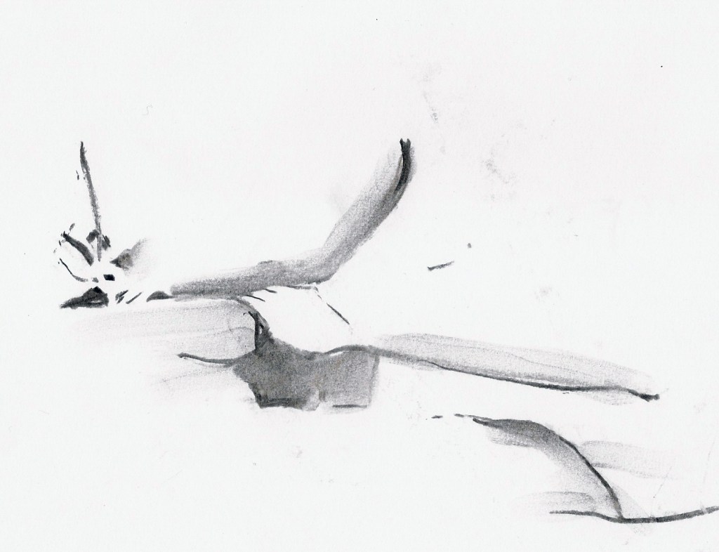 skriva -writing,skriva -writing kroki 2014 03 22 miss J 14, tecknare (drawer): Marica Ohlsson