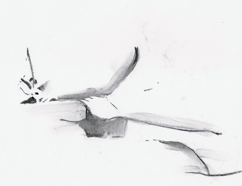 skriva -writing,skriva -writing kroki 2014 03 22 miss J 14, tecknare (drawer): Marica Ohlsson