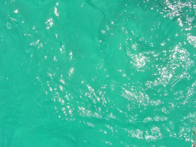 V369 St Vincent, Tobago Caye 2014 04 26 (800x600)