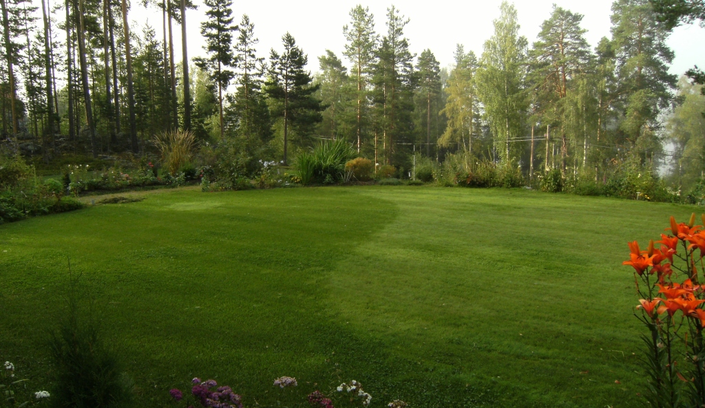 mönstrad gräsmatta-patterned lawn