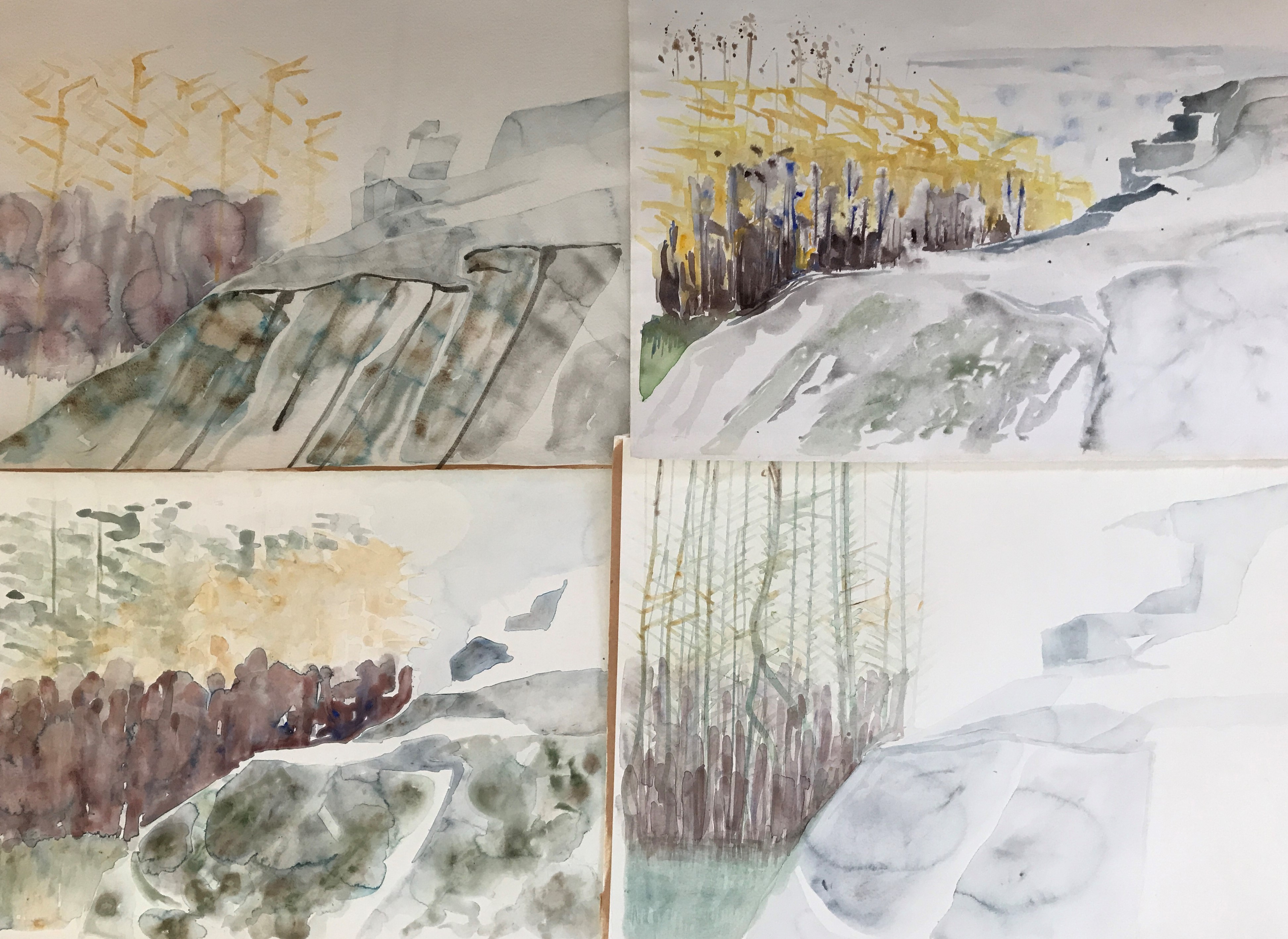 vass vid klipphaell i mulen dager