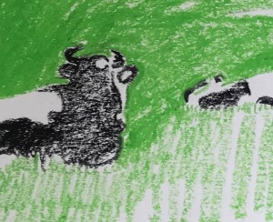 svartvita kor i groent graes