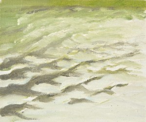 Vattenstudie från Roslagen 1994